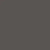 Smoke grey color swatch with glossy lacquered finish, displaying a uniform surface and subtle light reflection; Pacini & Cappellini L11.